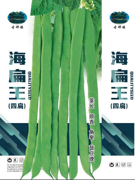 海扁王——架豆